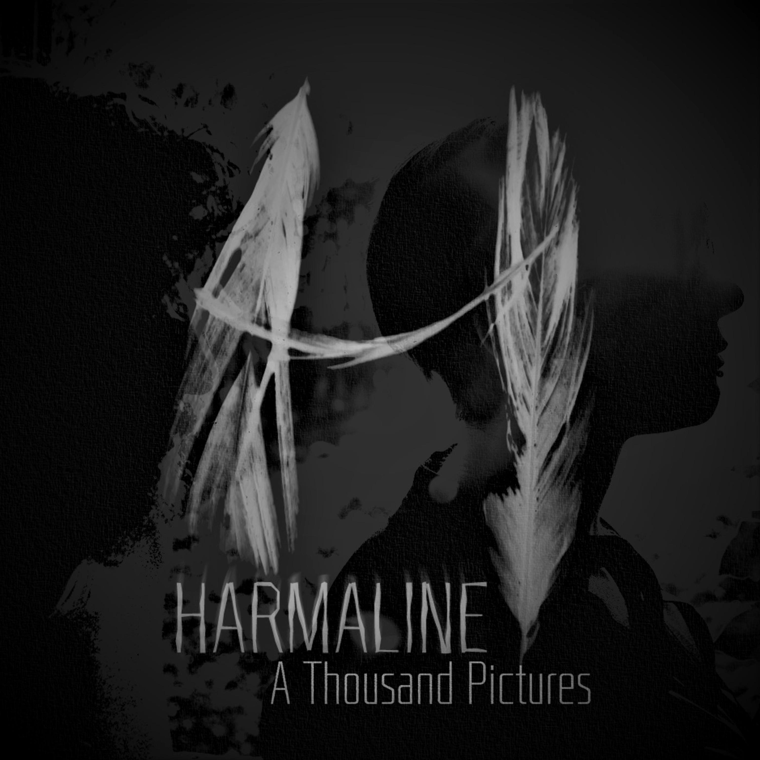 Harmaline | A Thousand Pictures | Album cover